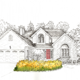 ink portrait with color detail